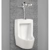 Picture of 4810BEX CORNELL 1.9L HET URINAL TOP IN