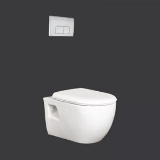 Picture of CT-1031DF CARRIER IN WALL TANK CARRI