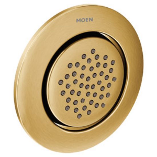 Picture of TS1322BG SINGLE FUNCTION BODY SPRAY BG