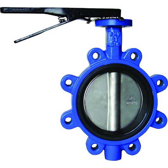 Picture of T++ LF 2 DI SS EPDM 255# LUG BFV