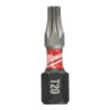 Picture of 48-32-4414 (2) 1" INSERT BIT T20