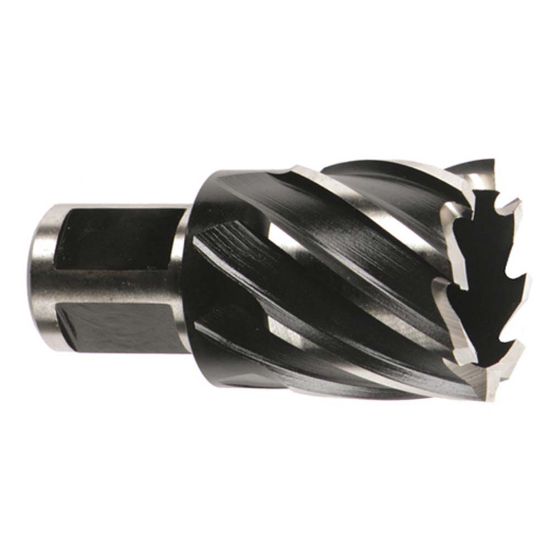 Image sur 49-59-0812 13/16X1" FORET ANNUL HSS