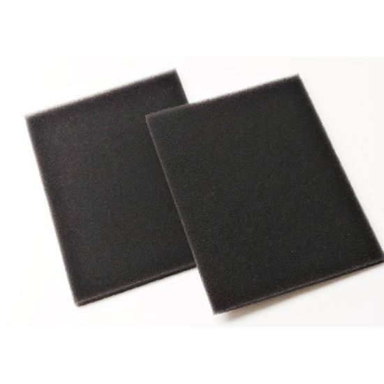 Picture of C++ 65-160 FOAM FILTER