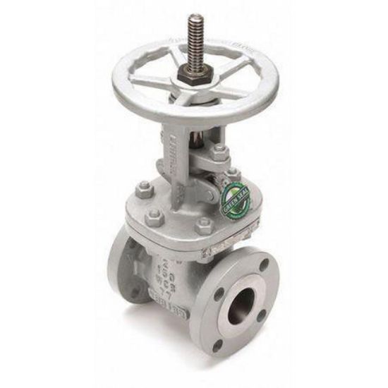 Picture of 13F-CB2 3" CL300 RF NEWCO GATE