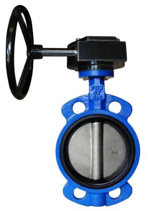 Image de 731EGX 8" 255 PSI FNW WAFER