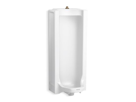 Image sur 25039-T-0 BRANHAM ERGOT SUP URINOIR