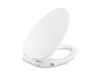 Picture of 98804-0 PUREWASH MANUAL CLEANSING SEAT