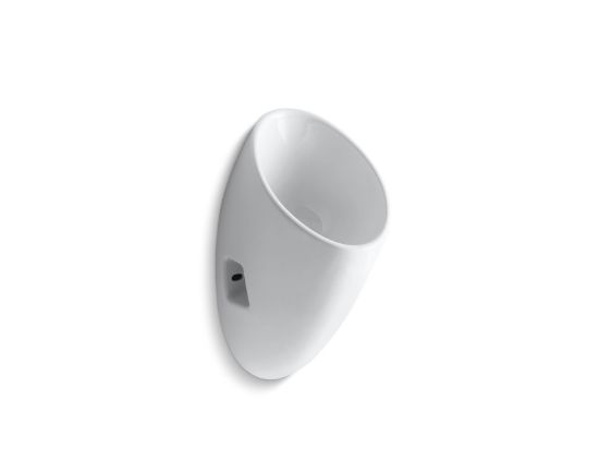 Picture of RS+ 4917-0 STEWARD S WATERLESS URINAL