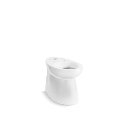 Picture of C++ 402101-0 BRELLA EB SKIRTED BOWL