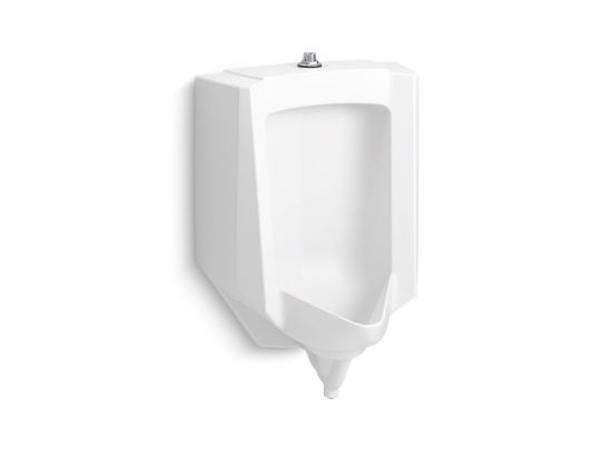 Image sur 25048ET0 STANWELL URINOIR ERGOT SUP