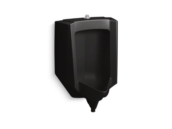 Image sur 25048ET7 STANWELL URINOIR ERGOT SUP