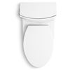 Picture of 1381-0 VEIL 1-PC DUAL-FLUSH TOILET