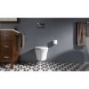 Picture of C++ 62990 VEIL WALLHUNG BWL EB W/REVEAL