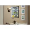 Image sur CB-CLC1526FS 15X26 PORTE SIMPLE BISEAUTE