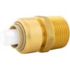 Image sur C77421LFC 3/8X1/2"MPT ADPT RED POUSSE