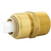 Image sur C77420LF 1/2X3/4"MPT ADPT RED POUSSE