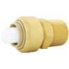 Image sur C77418LF 3/4X3/4" MPT ADAPTEUR POUSSE