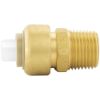 Image sur C77418LF 3/4X3/4" MPT ADAPTEUR POUSSE