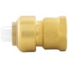 Image sur C77413LF 1/2X1/2" FPT ADAPTEUR POUSSE