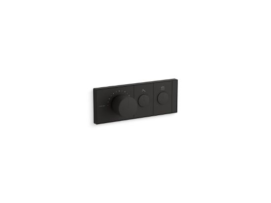 Picture of 263469BL ANTHEM RECESSED TH CONTROL 2OT
