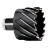 Image sur 49-59-1625 1 5/8X1" FORET ANNUL HSS