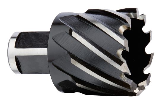Picture of 49-59-1750 HSS ANNU CUTTER 1 3/4 1 DEPTH