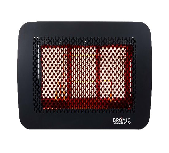 Picture of BH0210001-1 TUNG 300 20 NG 26MBTU HTR