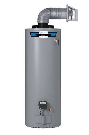 Picture of DV40N 300 40GAL NG DIR VENT WATER HTR