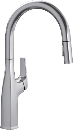 Picture of 442678 RIVANA HIGH ARC STAINLESS FINISH