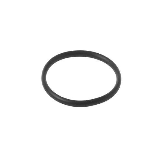 Picture of 1098124 O-RING