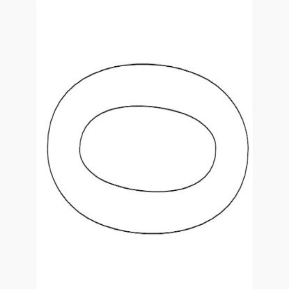 Picture of 1095314 O-RING