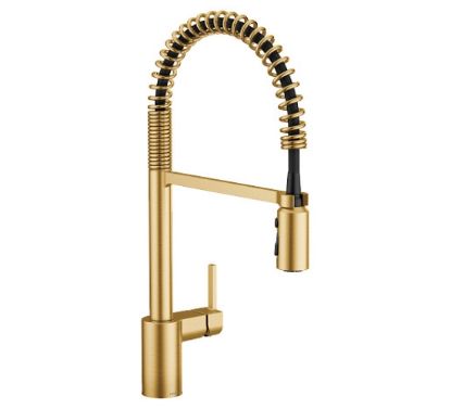 Picture of 5923BG ALIGN PULLDOWN SPRING