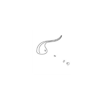 Picture of C++ 1001795-BN HANDLE KIT