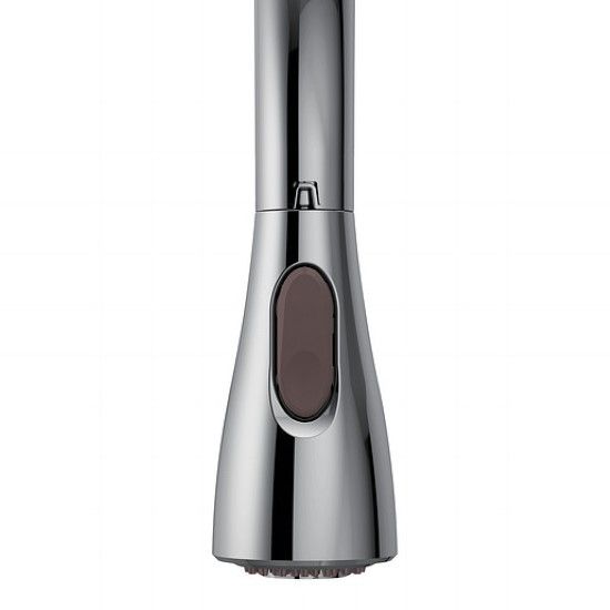 Picture of 131380 PULLDOWN WAND CHR