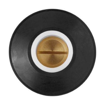 Picture of 1068303-SN ASSEMBLY SPEAKER COVER