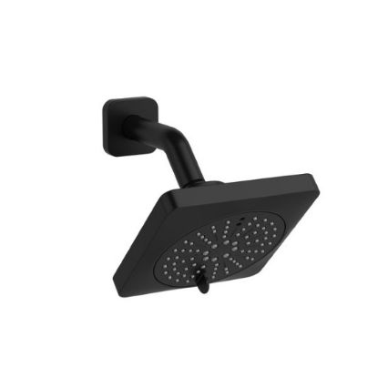 Picture of 376BK 2-JET SHOWER HEAD WITH ARM