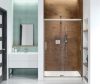 Picture of 139352900305000 BRUSH NICKLE SHOWER DOOR