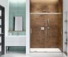 Picture of 139350900305000 BRUSH NICKLE SHOWER DOOR
