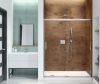 Picture of 139350900084000 CHROME SHOWER DOOR