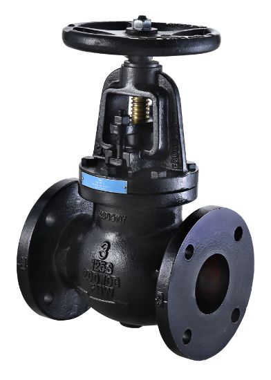 Picture of 3 CI 125# FLG GLOBE VLV