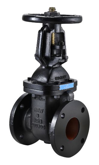 Picture of 2 CI 125# FLG OS&Y GATE VLV