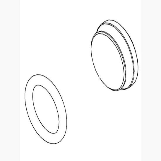 Picture of 1039095-CP ASSY PLUG BUTTON & O-RING