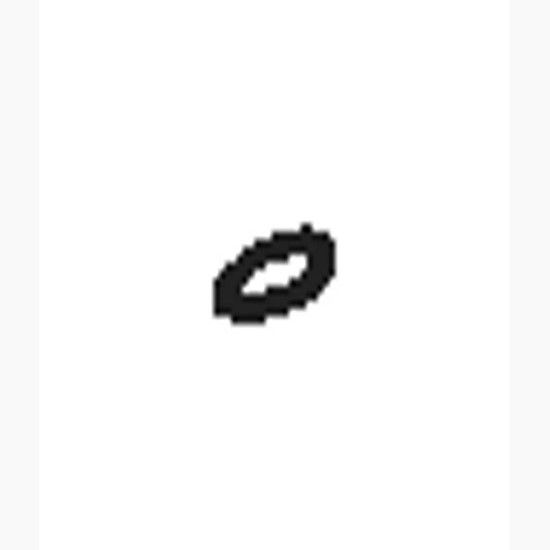 Picture of 1036389 O-RING