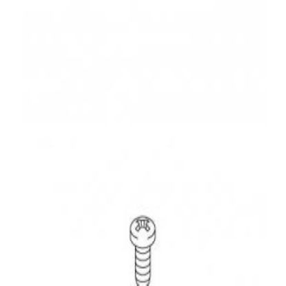 Picture of 1014583 SCREW M4 X 8 MM L