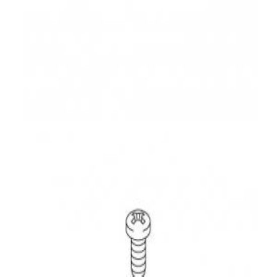 Picture of 1014583 SCREW M4 X 8 MM L