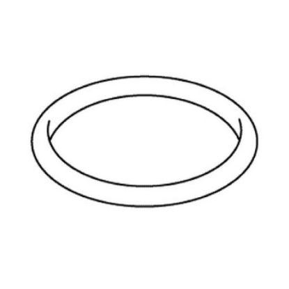 Picture of 1021037 O-RING