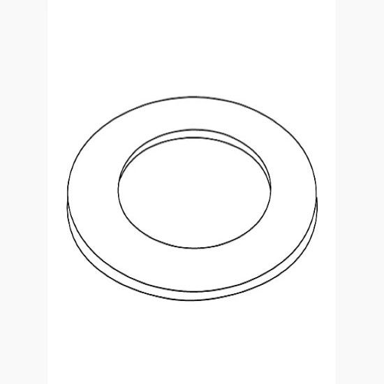 Picture of 1006333 FRICTION WASHER
