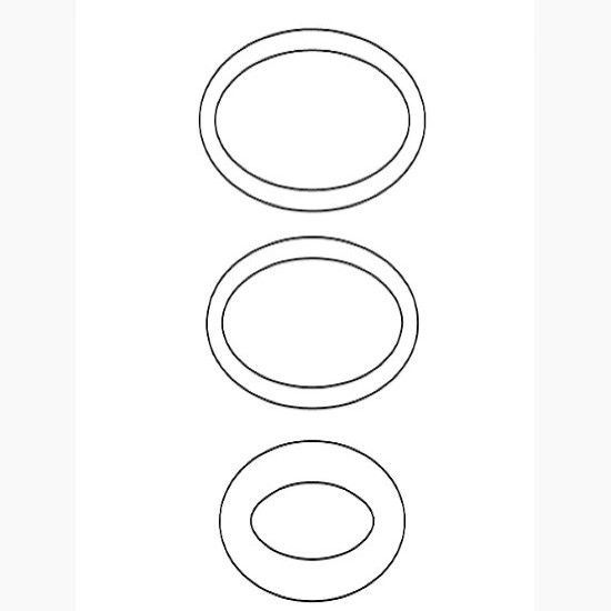 Picture of 1001020 DIVERTER O-RING