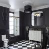 Image sur 45905-TT HYDRORAIL -S-COLONNE BAIN/DCH