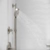Picture of 22178GSN PURIST MF HAND SHW KIT 1.75GP
